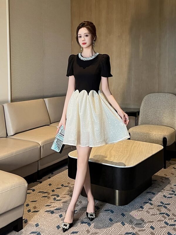Black Swan Princess Dress High-end Puff Sleeve Design Light Luxury Temperament Small A-line Dress Women - Image 5