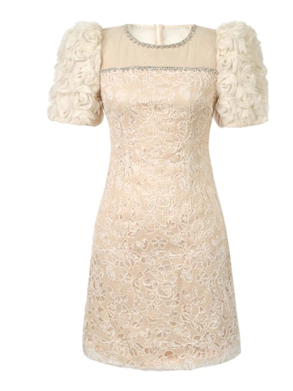 Lace dress for women in summer new style, gentle style, high-end style, usually wear dresses, hip-wrapped mid-skirt - Image 6