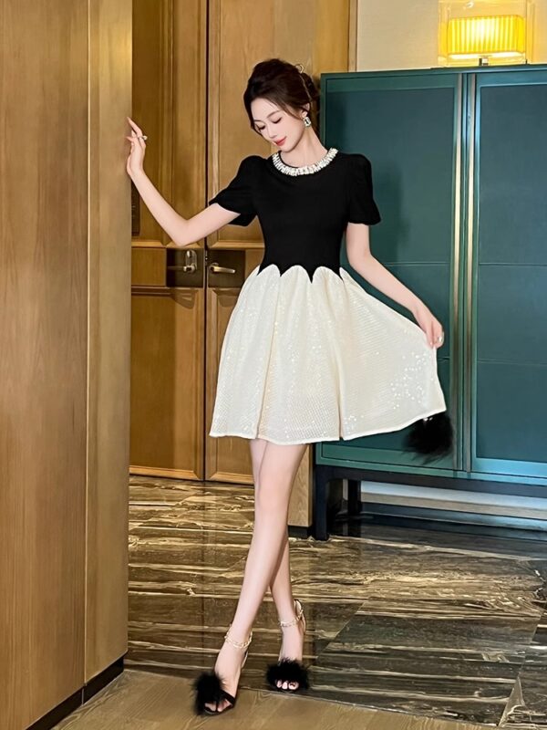 Black Swan Princess Dress High-end Puff Sleeve Design Light Luxury Temperament Small A-line Dress Women - Image 6