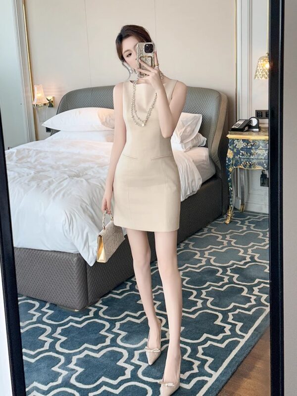 European Sleeveless Dress Women's 2025 Summer New High-end Small-sleeved waisted and slim and elegant vest skirt - Image 6